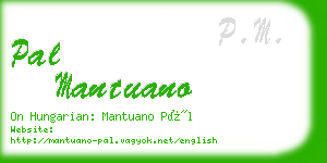 pal mantuano business card